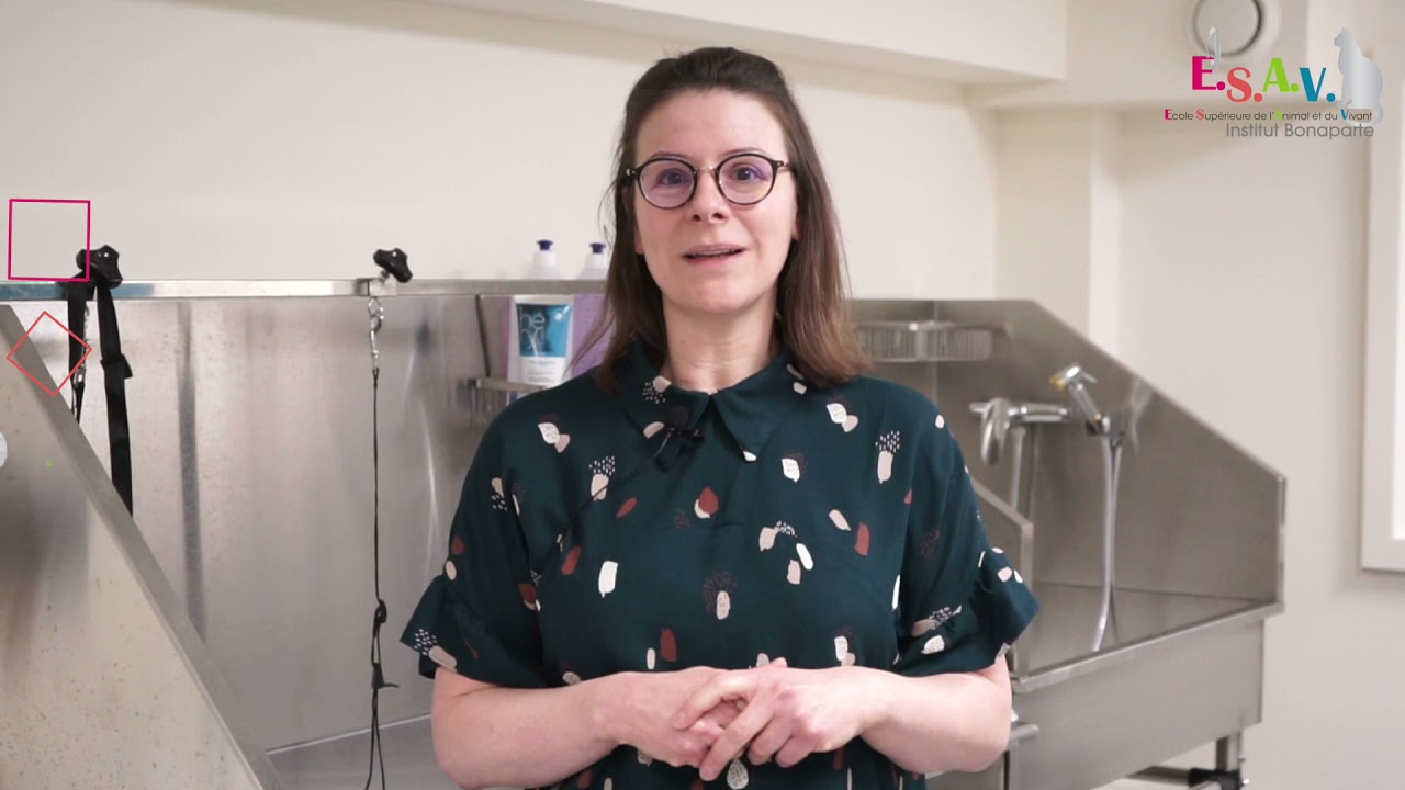 Le Dr TOMMASINI vous explique tout sur les stages Toiletteurs !