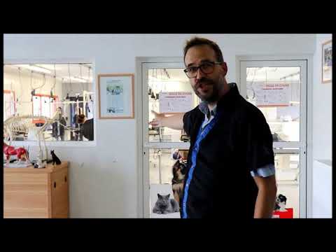 Présentation de la Formation CTM Toiletteur Canin et Félin et BTM Toiletteur Canin et Félin.