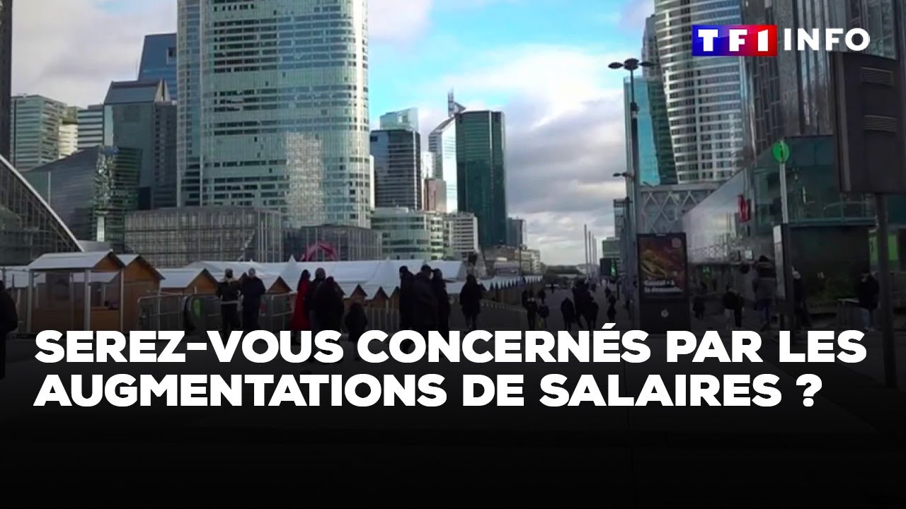 Serez-vous concernés par les augmentations de salaires ?｜TF1 INFO