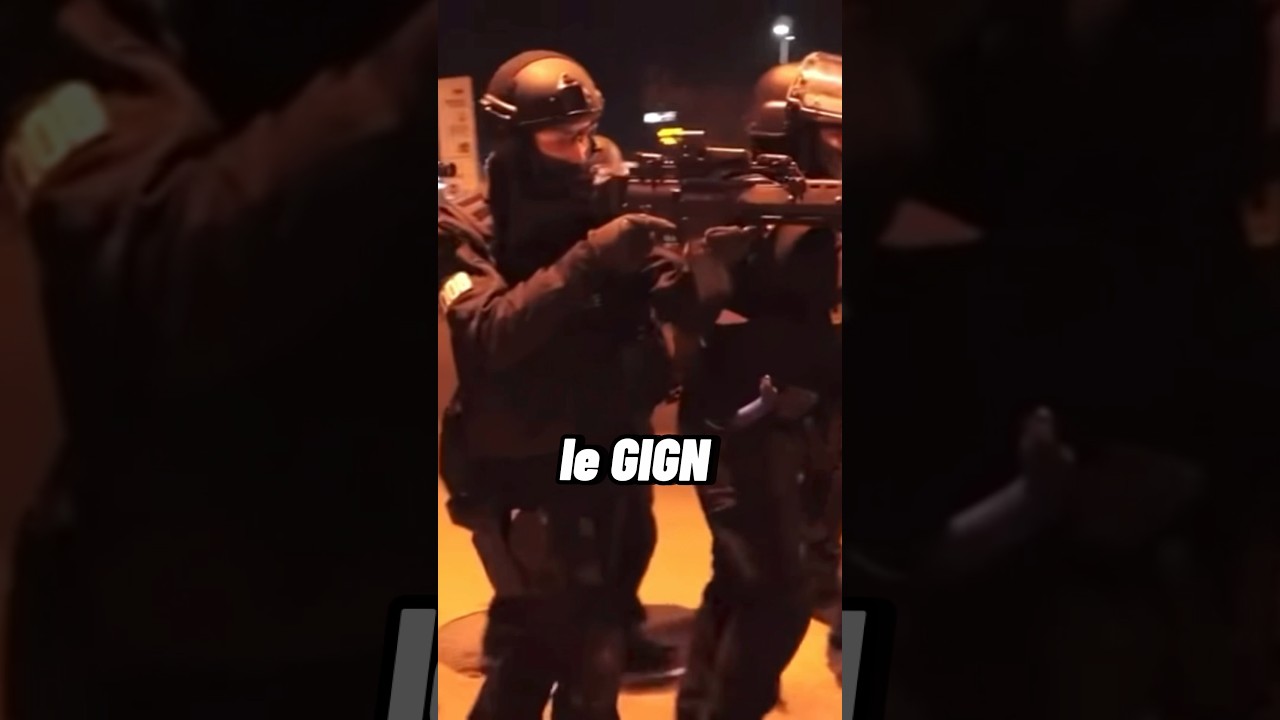 Quelle est la différence entre le RAID, le GIGN et la BRI ?
