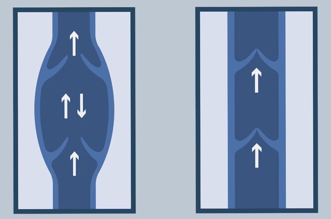 Formation extension de cils : où bien se former ?